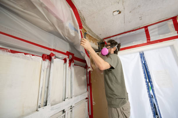 Best Black Mold Removal  in Kuna, ID